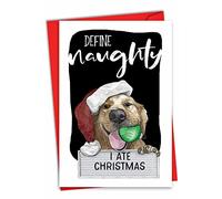 NobleWorks - Tarjeta de felicitación de Navidad con sobre de 5 x 7 pulgadas, divertida nota de papel para perro (1 tarjeta) - Antigüedades de perro de vacaciones - Define Naughty C2918FXSG