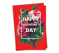 NobleWorks - Tarjeta divertida para el dνa de San Valentνn - Tarjeta de notas de amor de San Valentνn con sobre (1 tarjeta) - Big Fan C8869VDG