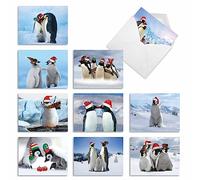 NobleWorks Thank You Tarjeta de felicitación de humor, color 10 Assorted Blank Note Cards (M2951XSB) 10 Assorted Blank Note Cards (M2951XSB)