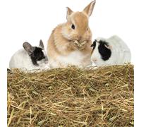 Nobleza - (2.5kg) Heno para Conejos, Comida Premium para Conejos Adultos , Alimento con Fibra Desgaste de los Dientes y Salud Dental