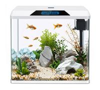 Nobleza - Acuario de Cristal 54L con Iluminación LED y Filtro Interno, Pecera con Tapa para Peces, Diseño de Vidrio Curvo, Blanco