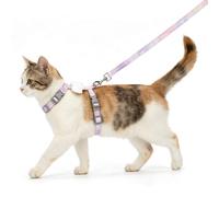 Nobleza Arnés y Correa para Gatos, Arnés de Pecho Ajustable con Alas de Ángel de Peluche, Diseño de Hebilla de Liberación Rápida y Clip de Metal, Juego de Arnés Cómodo para Gatos y Cachorros