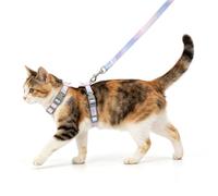 Nobleza Arnés y Correa para Gatos, Arnés de Pecho Ajustable con Alas de Ángel de Peluche, Diseño de Hebilla de Liberación Rápida y Clip de Metal, Juego de Arnés Cómodo para Gatos y Cachorros
