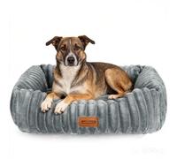 Nobleza Cama para Perro Pequeño, M 65x55x20cm, Que es Lavable y Cuenta con Suave Relleno de Esponja y Fondo Antideslizante, Gris
