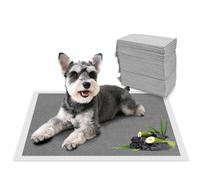 Nobleza Empapadores Perros 60x60cm (50 Unid), Carbón Activado para Control de Olores, Absorbe al Instante ¡Secado Rápido! Almohadillas de Antiderrames de Perros y Cachorros