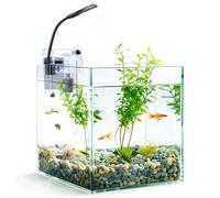 Nobleza - Pecera de Cristal 27 litros con Filtro Integrado e Iluminación LED - Acuario Completo para Principiantes e Iniciación