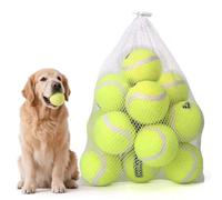Nobleza Pelota Perro, 12 Pack Tenis para Perros Interactiva Pelotas, Pelota de Caucho Natural, Duradera y Elástica para Pequeños y Medianos Ø 6.35cm