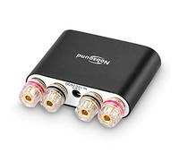 Nobsound mini Amplificador digital NS-10G PRO Hi-Fi DSP 100 W (50 W x 2), Bluetooth 5.0, 2.0 canales, estéreo, para altavoces domésticos (con fuente de alimentación)