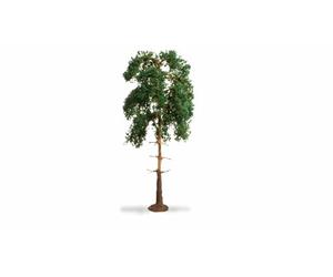 Noch 20141 Modelo Árbol Verde
