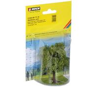 NOCH 21550 - AÚN - Fruta Verde árbol