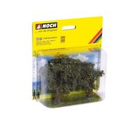 NOCH-21995 Olivos (21995)