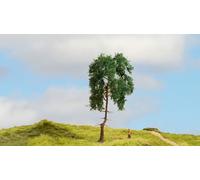 NOCH® Árbol de Madera de Pino de 15 cm de Alto, Modelos de ferrocarril H0, TT, N, Z, así como para Manualidades, Bricolaje y Wargaming