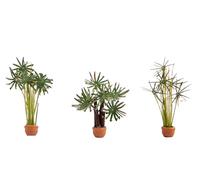 NOCH- Palms 3 Pieces Palmeras, Color Coloured (14024)