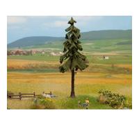 NOCH Pícea de Noruega de Tronco Alto