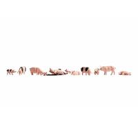 Noch- Schweine Cerdos, Multicolor (36712)