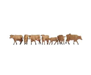 NOCH Vacas, Marrones