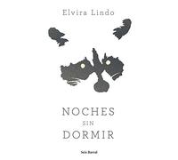 Noches sin dormir: Último invierno en Nueva York (Biblioteca Abierta)
