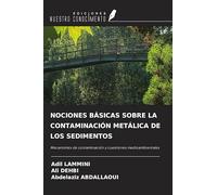 NOCIONES BÁSICAS SOBRE LA CONTAMINACIÓN METÁLICA DE LOS SEDIMENTOS: Mecanismos de contaminación y cuestiones medioambientales