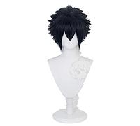 Noctis Cosplay Final Fantasy Cosplay Hombres Corto Azul Oscuro Peluca Cosplay Anime Cosplay Peluca sintética resistente al calor