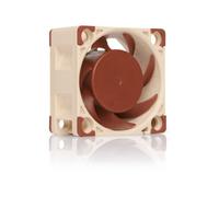 Noctua NF-A4x20 5V PWM, Ventilador Silencioso, 4 Pines, Versión de 5V (40x20 mm, Marrón)