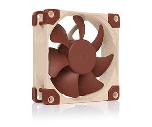 Noctua NF-A8 PWM, Ventilador silencioso Premium, 4 Pines (80 mm, marrón)