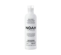 Noah Acondicionador Mango y Proteínas de Arroz Hair 2.1 250 ml