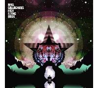 Noel Gallagher's High Flying Birds Black Star Dancing (Vinyl) (Importación USA)