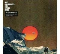Noel Gallaghers High Flying Birds: She Taught Me How To Fly [Winyl] [Vinilo]