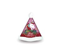 ARDITEX ZK50823 Gorro de Navidad Papa Noël de 43x32cm de ZASKA-Unicornio