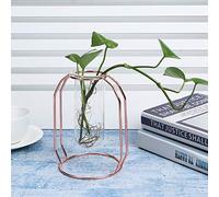 NOENNULL Floreros Hidropónicos Modernos para Plantas, Maceta Hidropónica de Cristal Dorado Elegante para el Hogar, 4,3x6,1 Pulgadas (Oro Rosa)