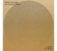 Noetinger Jerome & Pateras Anthony - A Sunset for Walter [Vinilo]