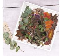 NogaMoga 80 piezas Pegatinas Scrapbooking de Plantas Flores Secas Decorativas Stickers Transparente Autoadhesivas Pegatinas para Álbumes de Recortes Planificador Diario Tarjetas Laptop Arte de Resina