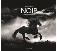 Noir: Une histoire dans la nuit