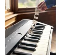 Noisy Clan Tiras de notas de silicona extraíbles para piano y teclado, se adapta a teclados completos de 88 teclas, herramienta de aprendizaje de música para el regreso a clases