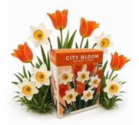 Nojus - City Bloom - Orange Flame Bulbos de tulipán y narciso 16 | Bulbos de primavera, flores de jardín, decoración de jardín, decoración para patio, set de 16 bulbos