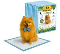 NOKLOA Empapadores Perros 60x60 con Olor césped - Pack 50 NOKLOA - Almohadillas Entrenamiento Perro - Tapetes absorbentes Desechables