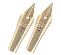 NOLITOY 2 Piezas Puntas Metálicas para Pluma Estilográfica Aplicables Finas y Reemplazables para Caligrafía y Escritura Precisa Oficina y Escuela Accesorio Duradero y Fácil de Cambiar