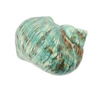 NOLITOY Decoración para Peceras con Conchas Marinas Naturales Grandes Kit DIY de Conchas para Acuarios y Paisajismo Adorno de Escritorio para Tanque de Peces Accesorio Creativo para