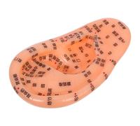NOLITOY Modelo De Acupuntura De Reflexología Auricular Herramienta Educativa Para Masaje y Aprendizaje De Puntos Acupunturales Medicina Tradicional