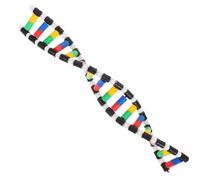 NOLITOY Modelo de ADN Doble Hélice 16 Bases, Material Plástico Duradero, Kit Didáctico para Enseñanza Científica en Aula y Laboratorio, Herramienta Educativa para Biología y Divulgación