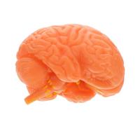 NOLITOY Modelo de Anatomía del Cerebro Humano Desmontable en 3 Partes con Estructura Realista y Alta Precisión, Material Pvc Color Café para Colecciones Personales y Estudio en Aula