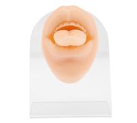 NOLITOY Modelo De Boca Piercing En La Lengua Modelo De Práctica Piercing En La Lengua Modelo De Entrenamiento Práctica De Piercing Partes Del Cuerpo Piercing Suministros De Práctica