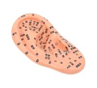 NOLITOY Modelo de Masaje de Oreja en Pvc para Aurícula Tabla Detallada de Puntos de Acupuntura y Reflexología para Entrenamiento y Enseñanza de Acupuntura y Masaje