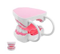 NOLITOY Modelo Educativo de Dientes para Higiene Bucal 6 Veces Ampliado Color Rosa Modelo de Diente de Plástico PVC para Formación y Enseñanza Práctica en Clínicas y Escuelas