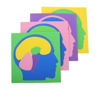 NOLITOY Puzzle de Anatomía Cerebral de 4 Piezas Entrelazadas de Colores Modelo Educativo Montessori Stem de Estructura Humana para Desarrollo Cognitivo y Aprendizaje Aula