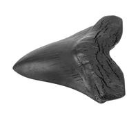 NOLITOY Réplica Realista de Megalodón Gigante Decorativo para Colección y Enseñanza Modelo de de con Acabado Suave para Regalo y Decoración Hogar