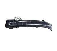 NOLONGNRDX Espejo Retrovisor Exterior Indicador Para Chery Tiggo 8 4/5x Luz De Señal Giro Para Espejo Retrovisor Izquierdo/derecho(Left side)