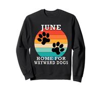Nombre de la Familia de Junio Casa para Perros Rebeldes Sudadera