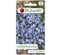 Nomeolvides alpino - azul