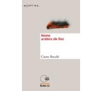 Noms aràbics de lloc